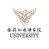 Anhui International Studies University