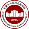 Stony Brook Institute at Anhui University
